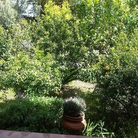 Casavacanzaoasi Guest house *